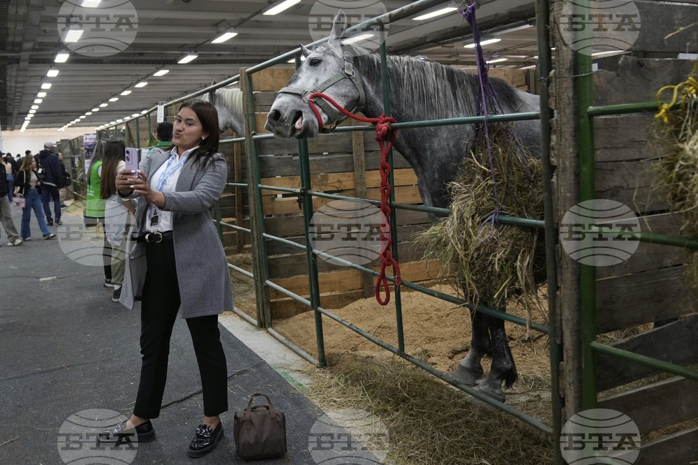 Colombia Agriculture Fair