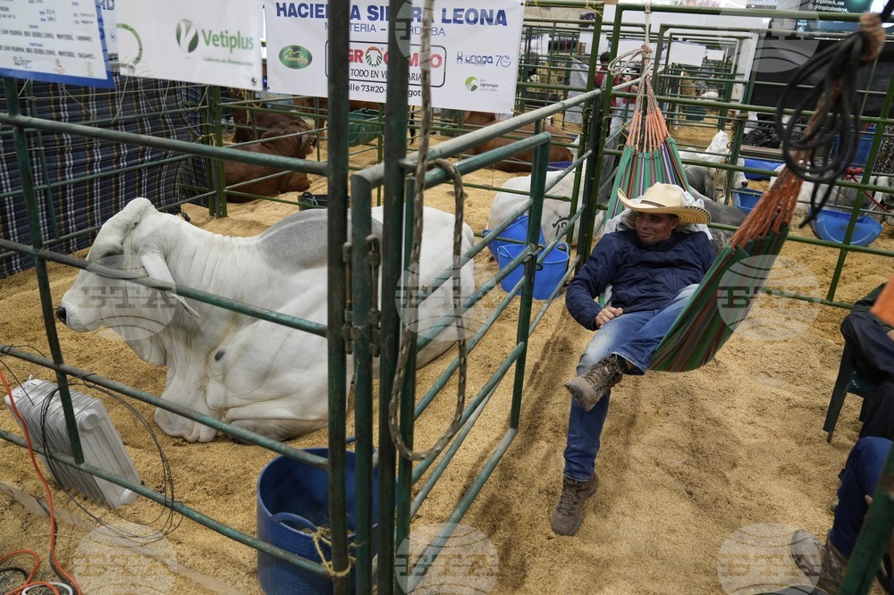 Colombia Agriculture Fair