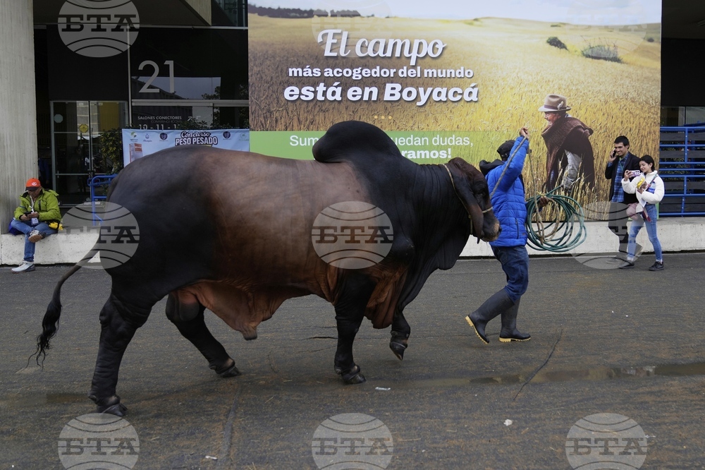 Colombia Agriculture Fair