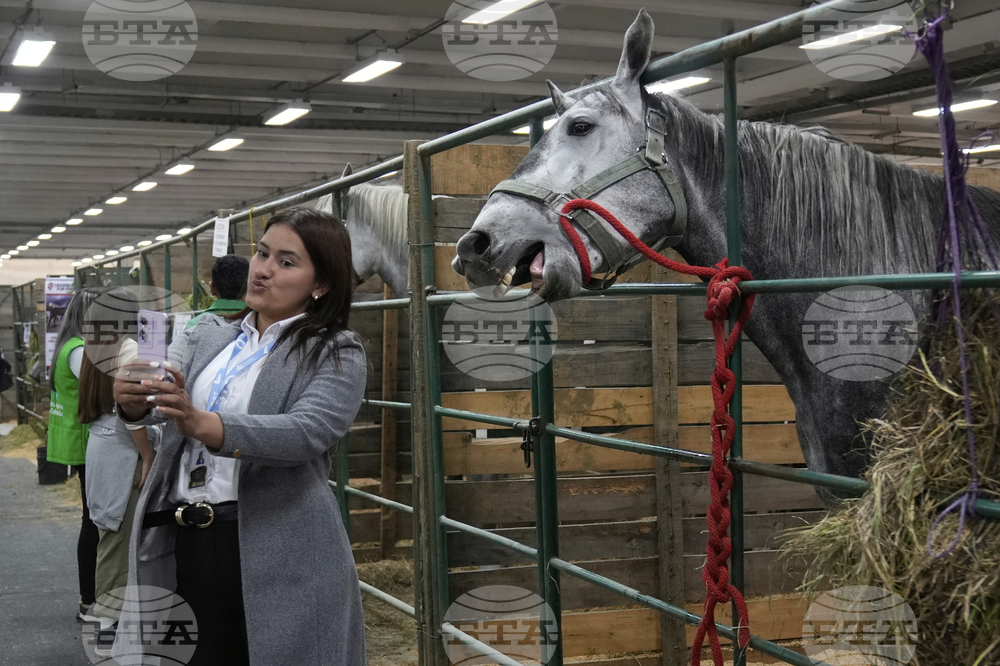 Colombia Agriculture Fair