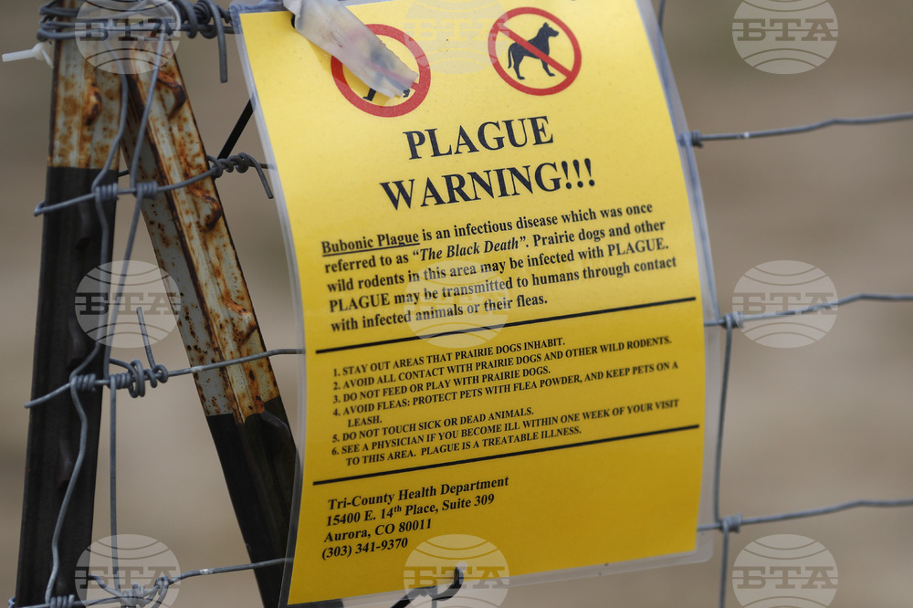 Arizona Pneumonic Plague Death