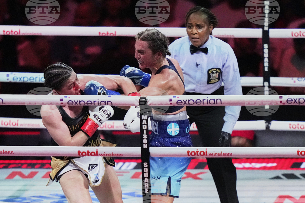 Scotney Mercado Boxing