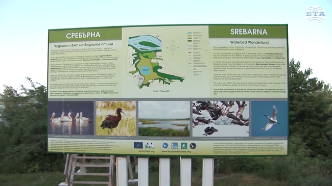 The Srebarna Reserve is internationally recognized