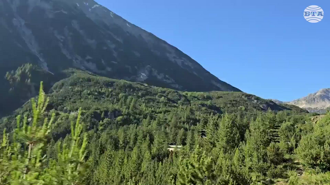 UNESCO Listing Brings Major Gains for Pirin National Park’s Conservation, Expert Angelinina Says