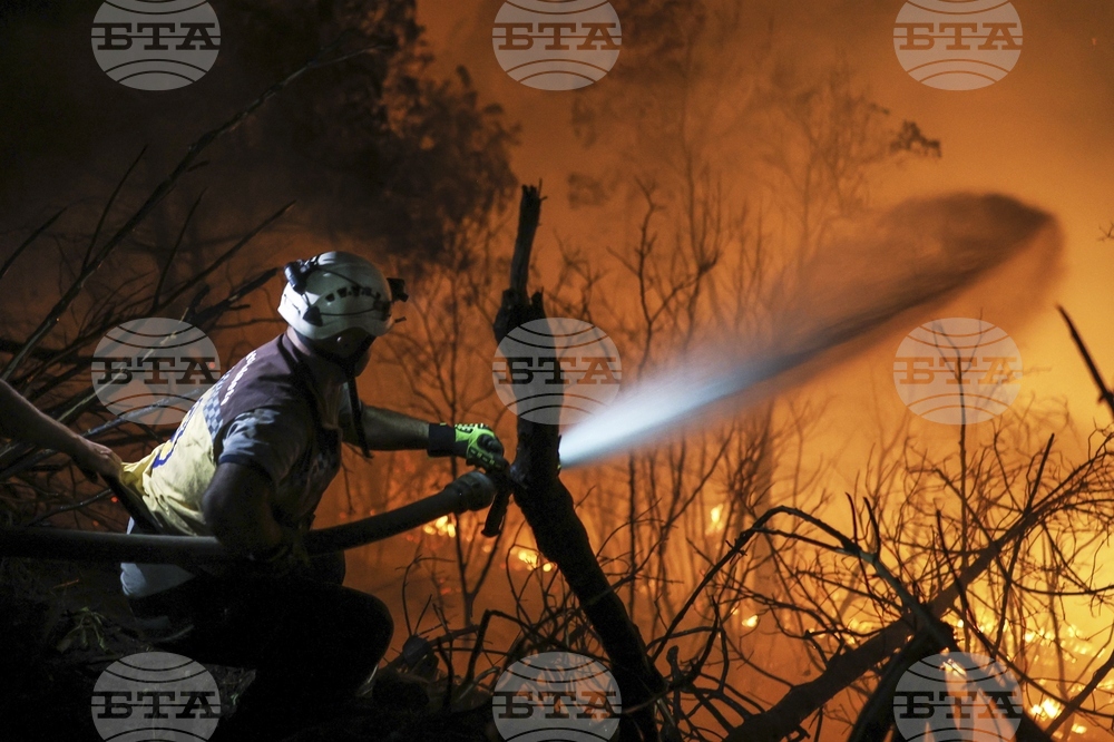 Syria Wildfires