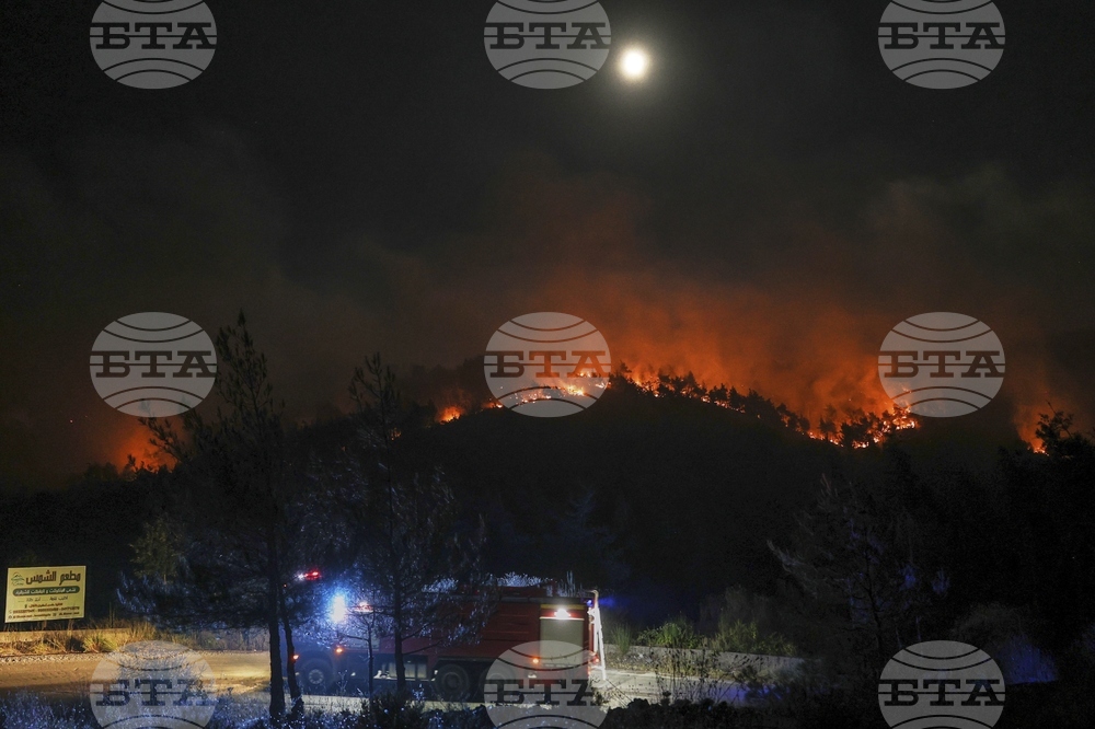 Syria Wildfires