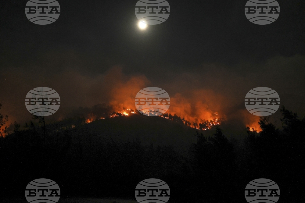 Syria Wildfires