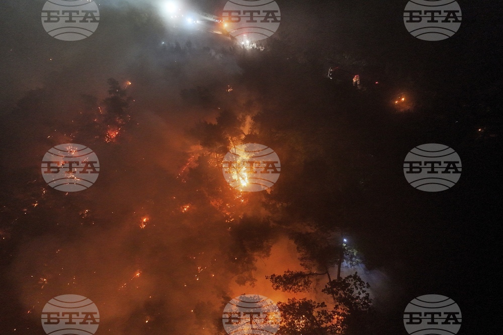 Syria Wildfires