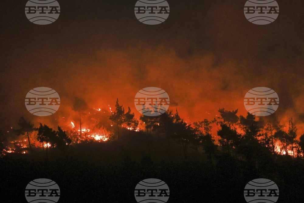 Syria Wildfires