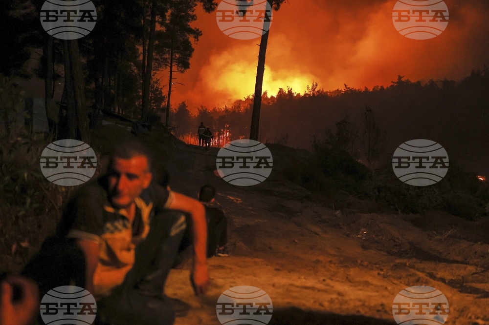 Syria Wildfires