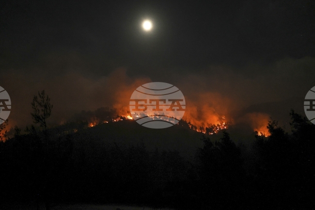 В последното денонощие в Албания са регистрирани 21 горски пожара, 5 от тях все още не са потушени