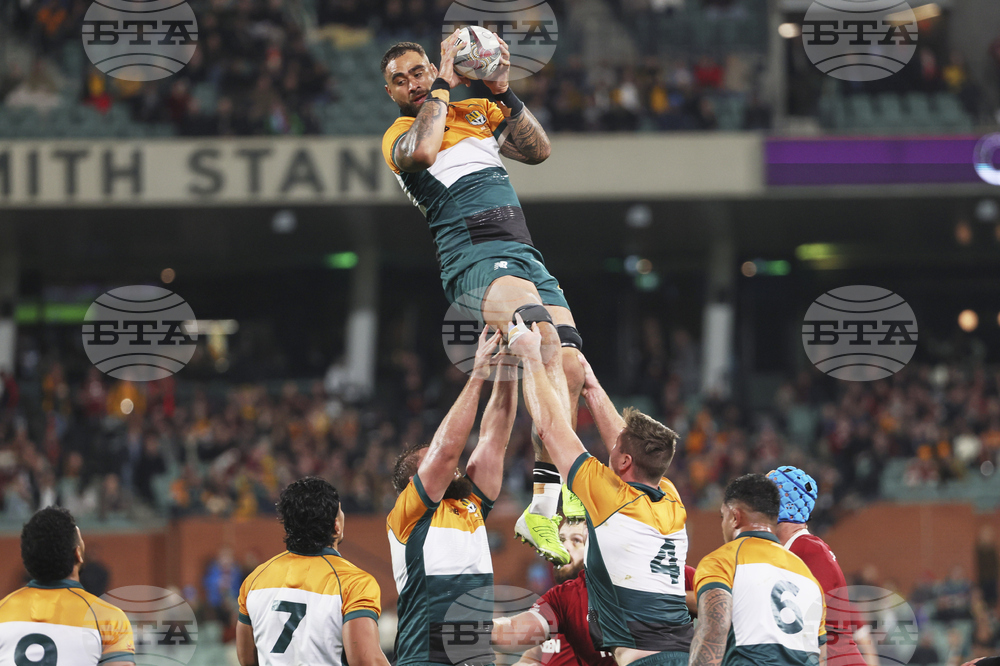 Australia Lions Rugby