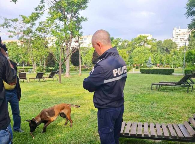 Столична община засили контрола над собствениците на домашни кучета - 2300 проверени и 186 акта за нарушения от началото на годината