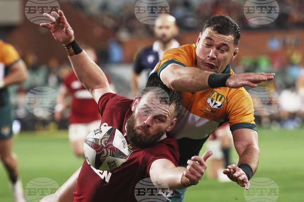 Australia Lions Rugby
