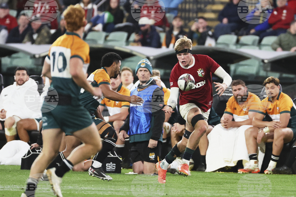 Australia Lions Rugby