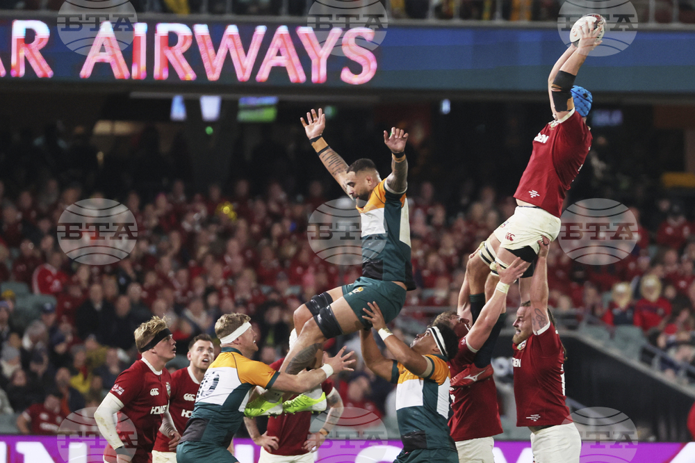 Australia Lions Rugby