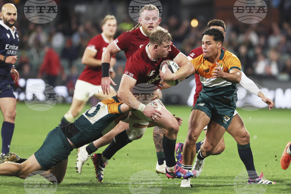 Australia Lions Rugby