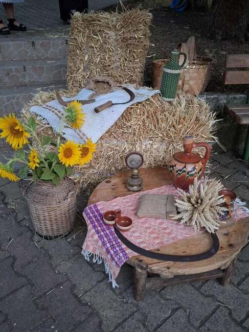 Възстановка на обичая "Брада" показаха в село Питово за закриването на жътвата