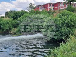 Ямбол - водно съоръжение - ремонт - мъртва риба