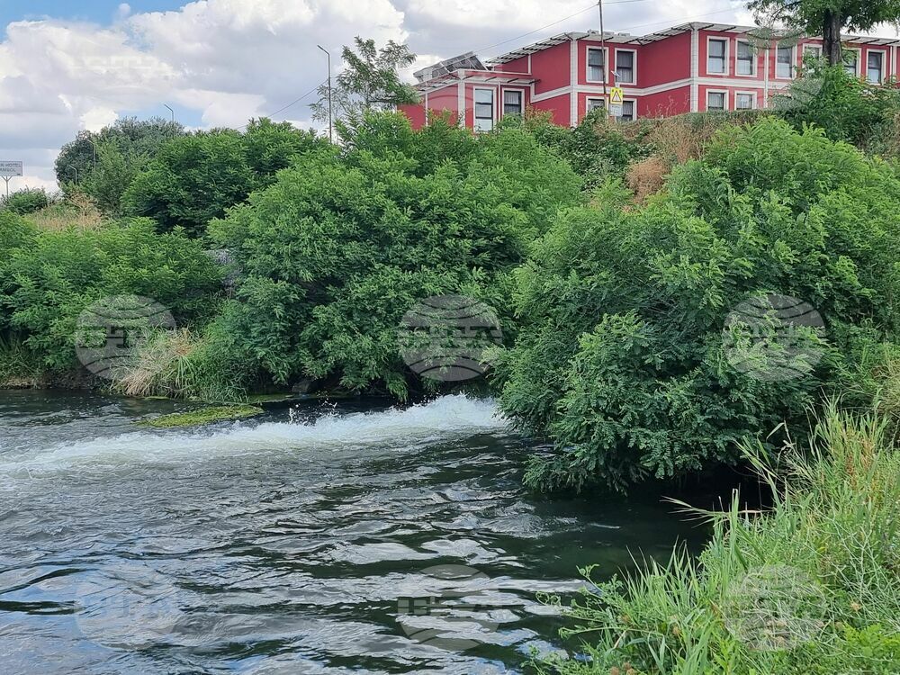 Ямбол - водно съоръжение - ремонт - мъртва риба