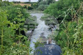 Ямбол - водно съоръжение - ремонт - мъртва риба