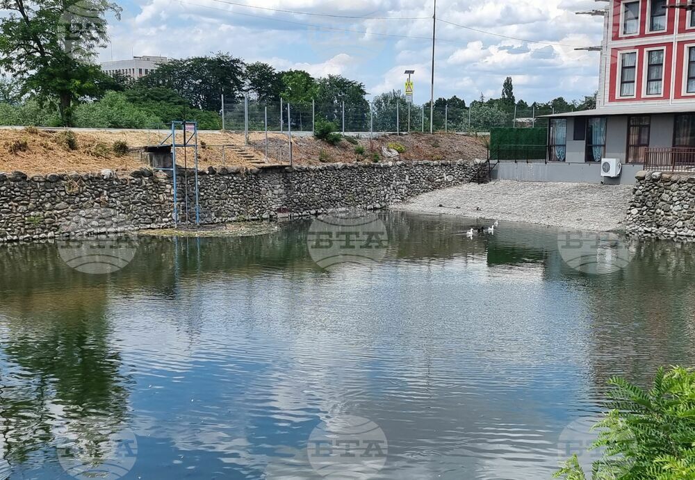 Ямбол - водно съоръжение - ремонт - мъртва риба