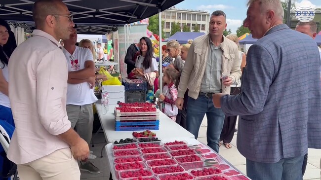 Самоковското плато става изключително гостоприемен ареал за отглеждане на малини и ягодоплодни, според браншова организация