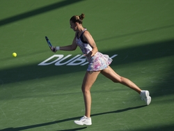 Dubai Tennis Championships