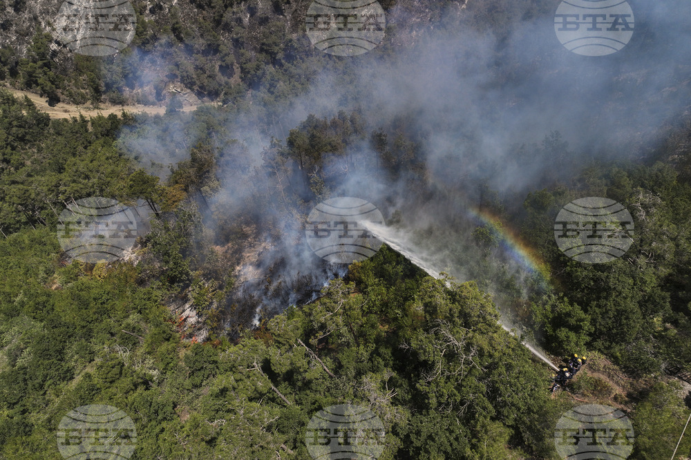 Syria Wildfires