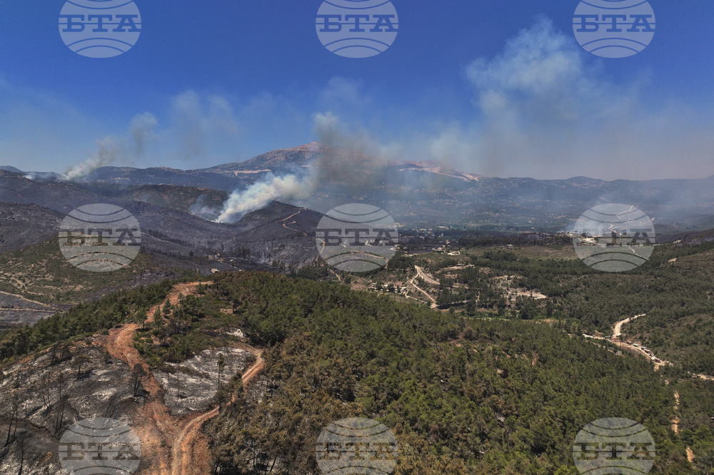 Syria Wildfires