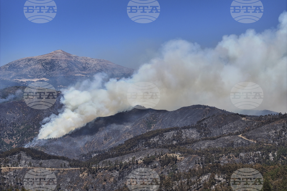 Syria Wildfires
