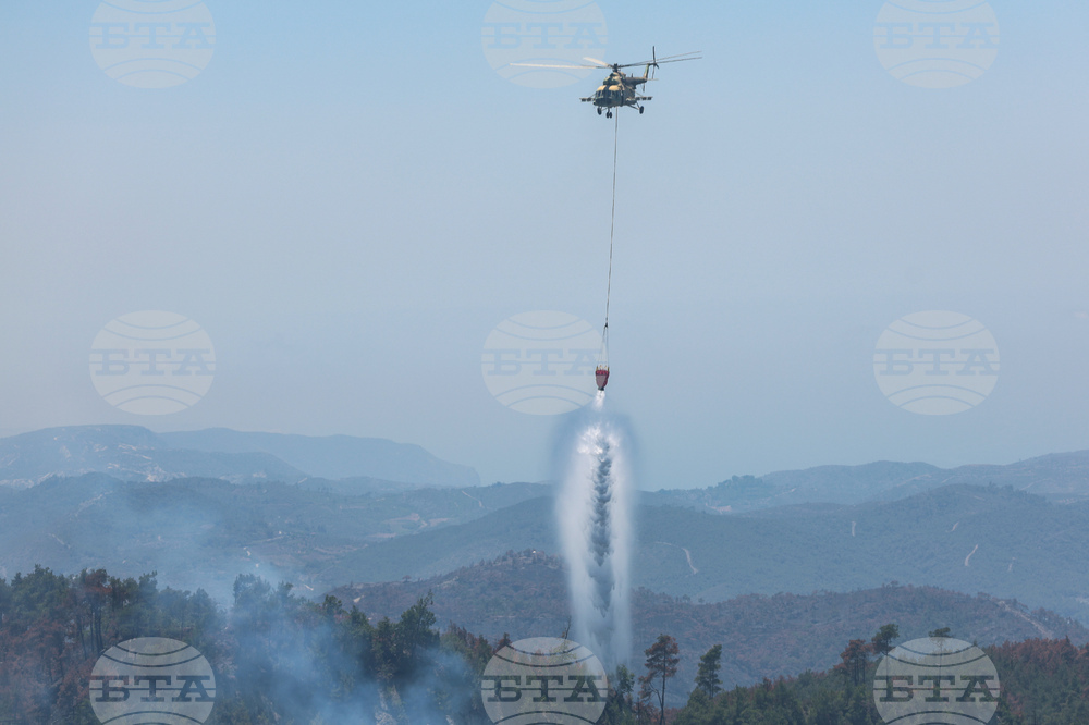 Syria Wildfires