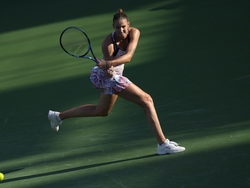 Dubai Tennis Championships