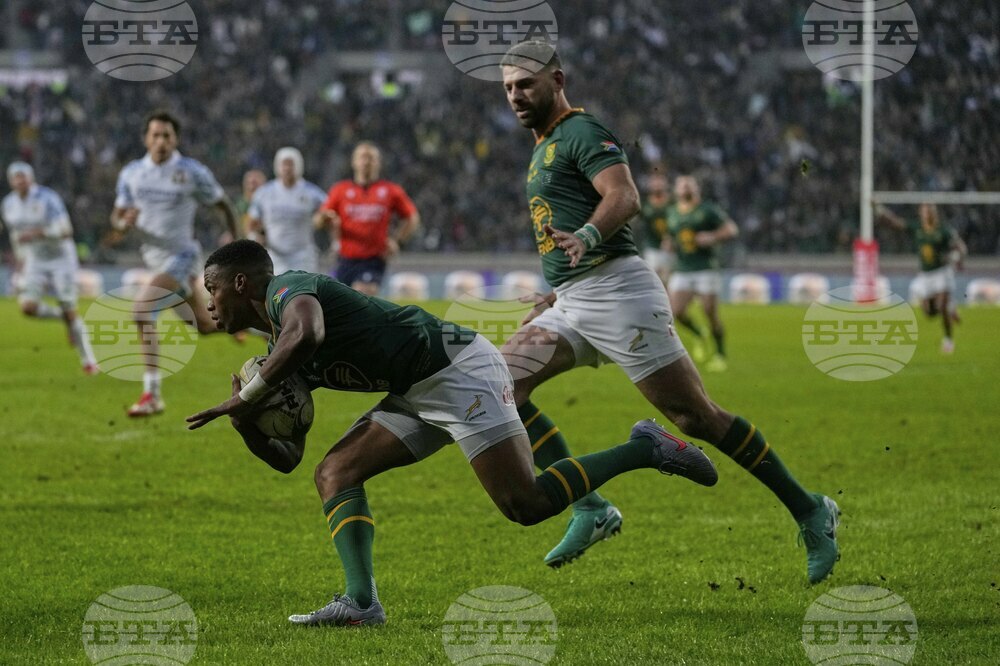 South Africa Italy Rugby