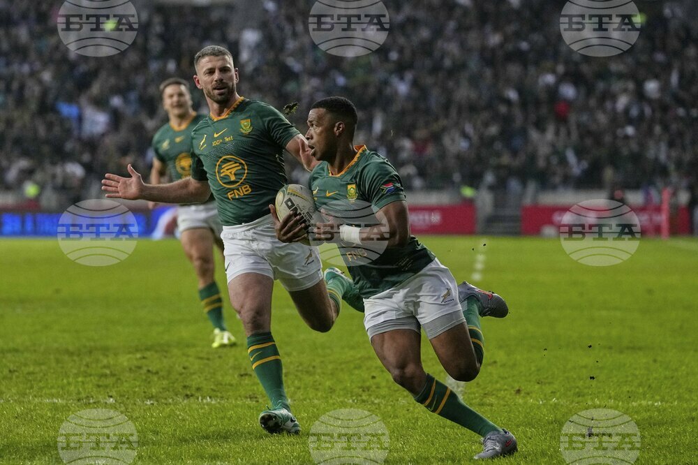 South Africa Italy Rugby