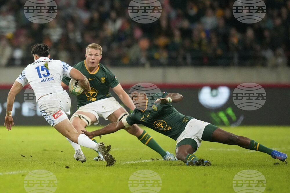 South Africa Italy Rugby
