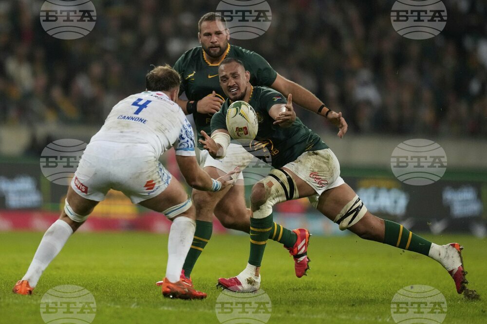 South Africa Italy Rugby