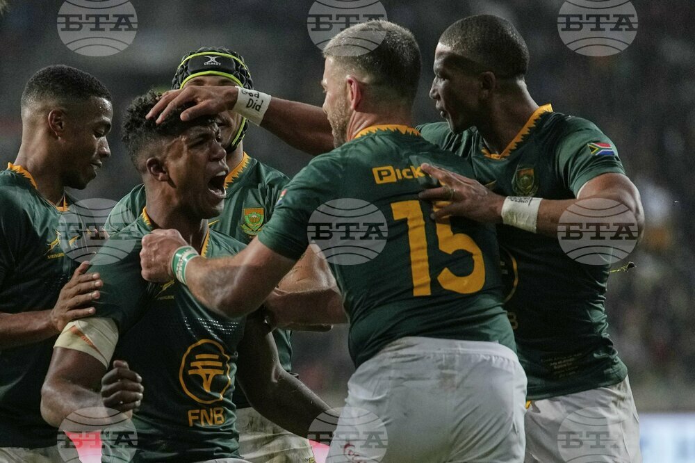 South Africa Italy Rugby