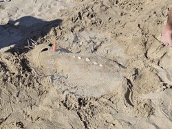 Балчик - фестивал „Пясъчни творения”