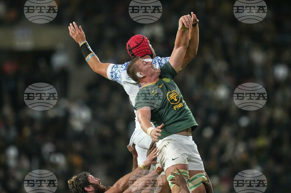 South Africa Italy Rugby