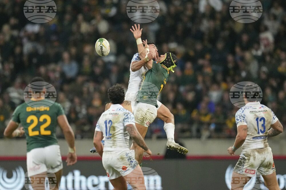 South Africa Italy Rugby