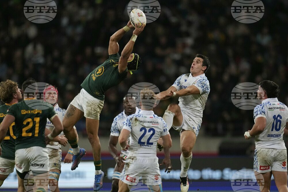 South Africa Italy Rugby