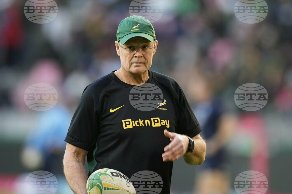 South Africa Italy Rugby