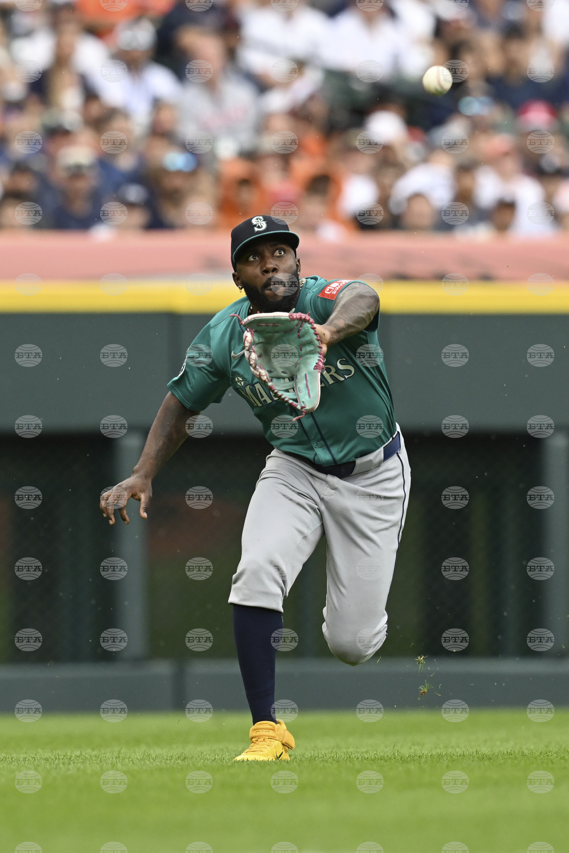 Mariners Tigers Baseball