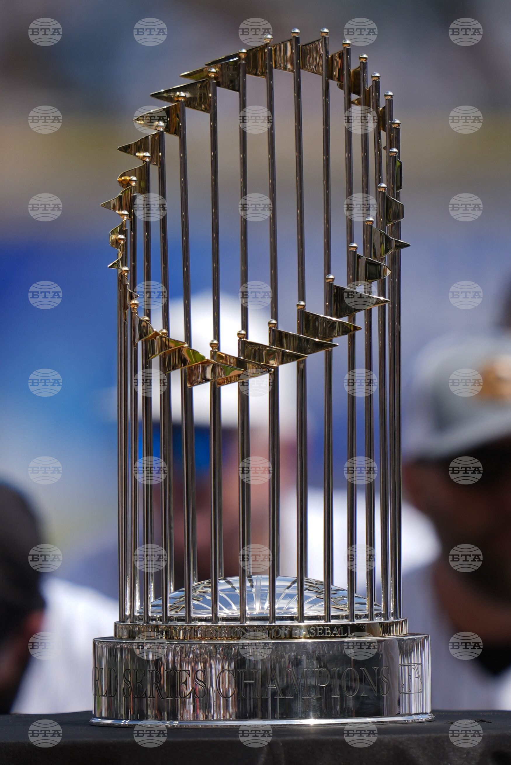 Guardian White Sox Baseball