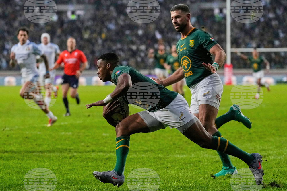 South Africa Italy Rugby