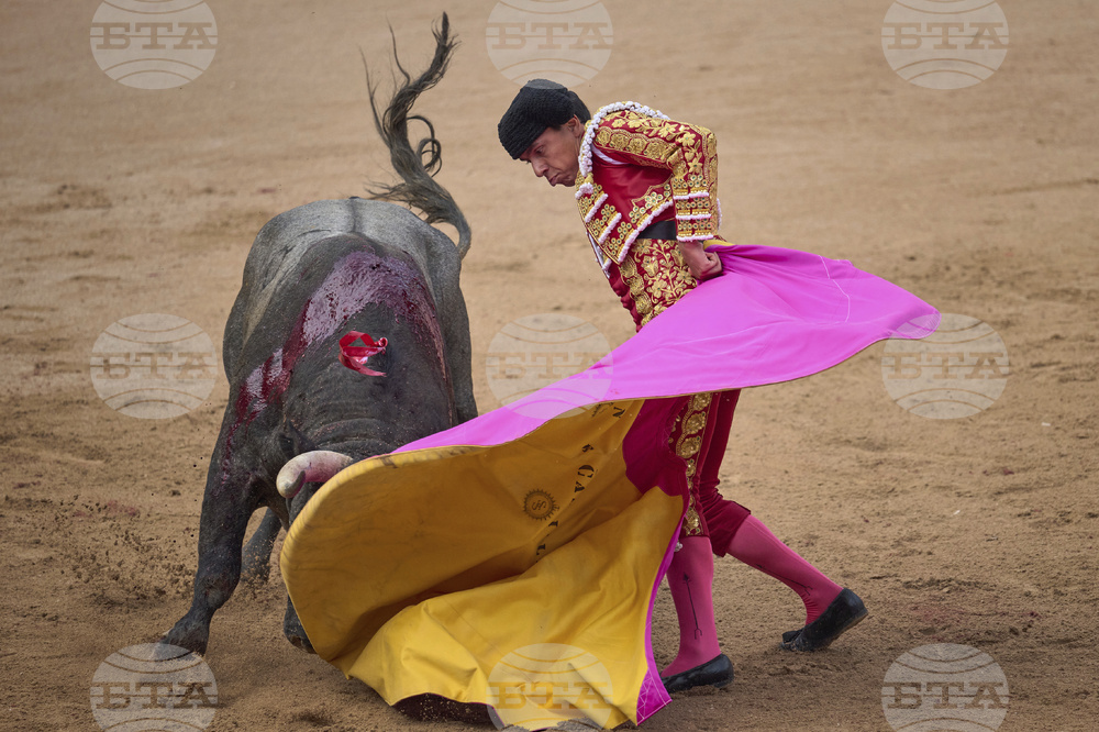 Spain Running of the Bulls