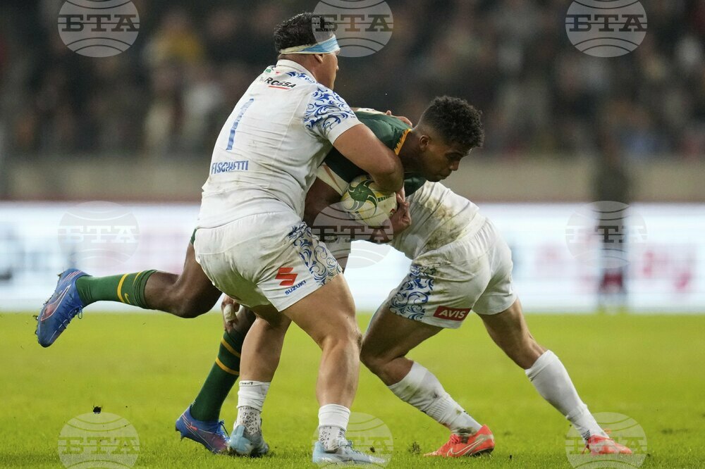 South Africa Italy Rugby