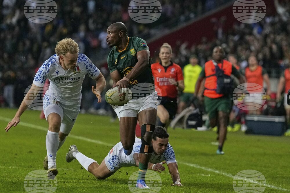 South Africa Italy Rugby