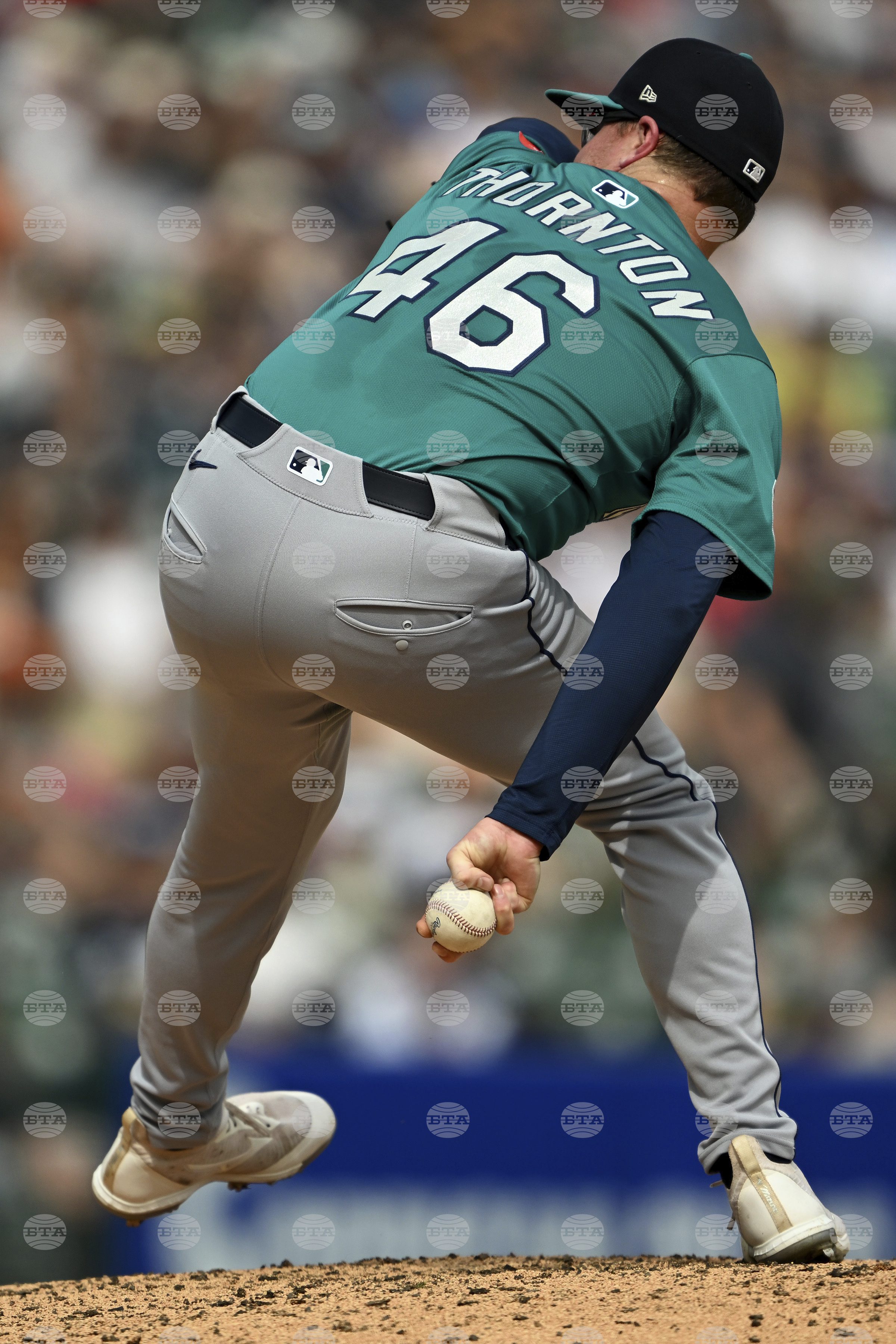 Mariners Tigers Baseball
